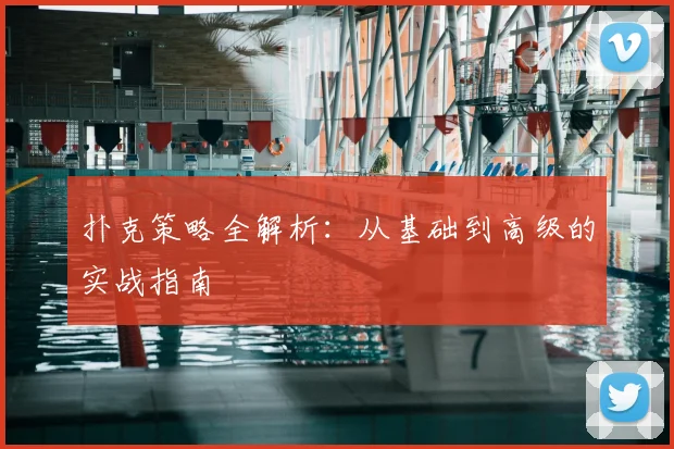 扑克策略全解析：从基础到高级的实战指南