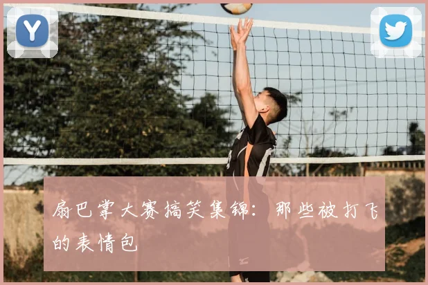 扇巴掌大赛搞笑集锦:那些被打飞的表情包