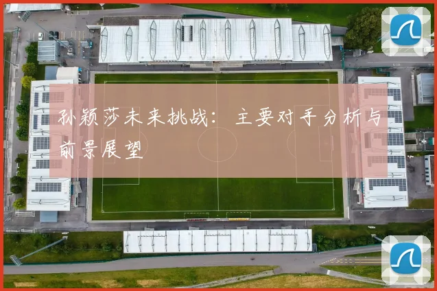 孙颖莎未来挑战：主要对手分析与前景展望