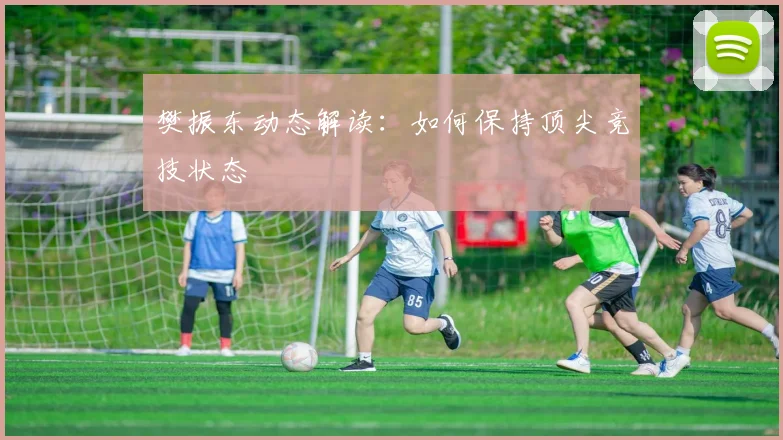 樊振东动态解读:如何保持顶尖竞技状态