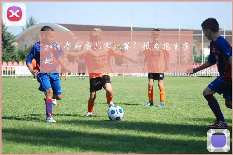 如何参加扇巴掌比赛?报名指南在此