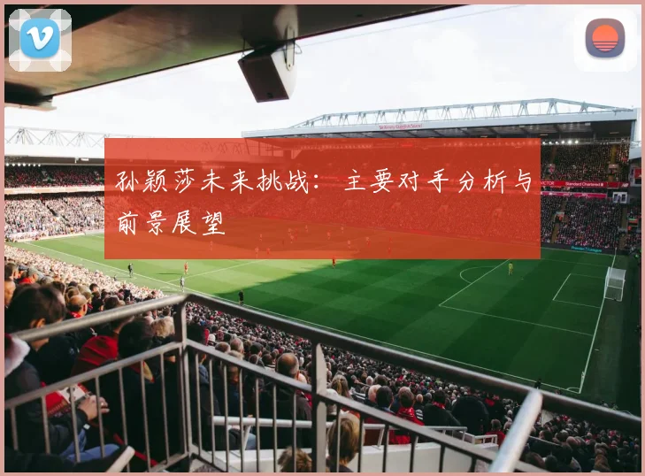 孙颖莎未来挑战：主要对手分析与前景展望