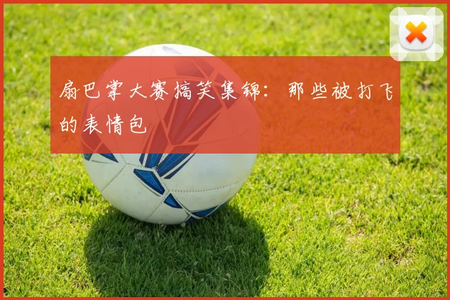 扇巴掌大赛搞笑集锦：那些被打飞的表情包