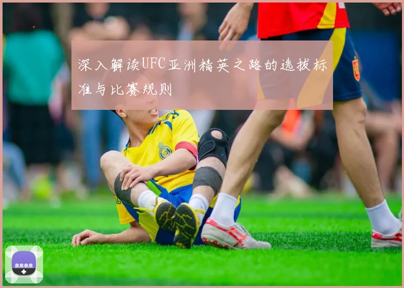 深入解读UFC亚洲精英之路的选拔标准与比赛规则